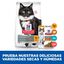 Hill's Science Plan Sterilised Mature Adult Pollo pienso para gatos, , large indicador imagen numero 6